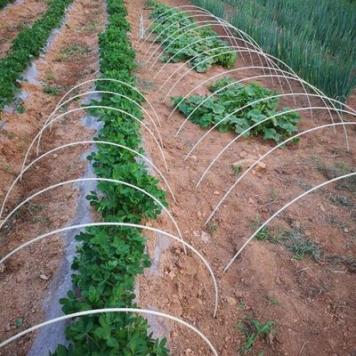 Posti di impianto in GFRP anti-invecchiamento personalizzabili per il taglio di giardini/alberi