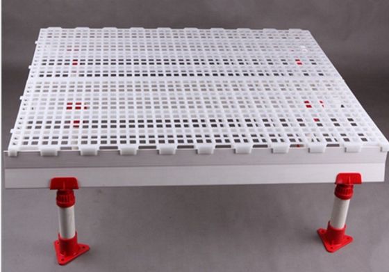 Legami di sostegno in FRP per pavimenti di pollame da 100 mm a 150 mm nelle aziende zootecniche