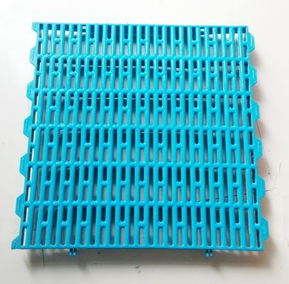 65x15 mm di maglia di maiale pavimento in plastica a lastra per cassa di partorimento/penne di maiale materiali freschi