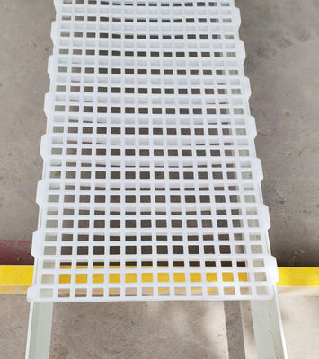 1200x500x50mm pollame pollame casa di allevamento pavimentazione in plastica a lastra design industriale