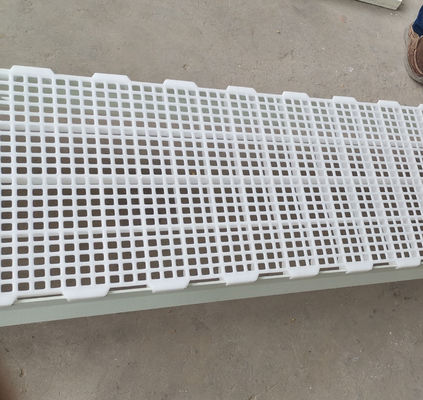 1200x500x50mm pollame pollame casa di allevamento pavimentazione in plastica a lastra design industriale