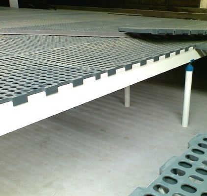 Fabbrica progettazione FRP pianta perfettamente progettato per pollame pollame e patate allevamento