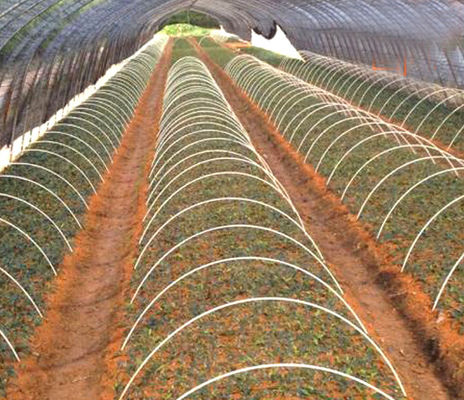 1 m a 11,6 m di lunghezza FFRP liscia GFRP Fibra di vetro per il supporto del tunnel agricolo