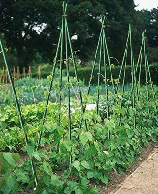 1 m a 11,6 m di lunghezza Piante in fibra di vetro ad alta resistenza per alberi di pomodoro e fagioli